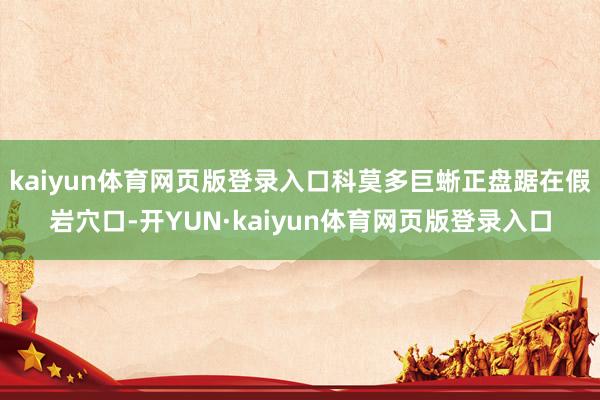 kaiyun体育网页版登录入口科莫多巨蜥正盘踞在假岩穴口-开YUN·kaiyun体育网页版登录入口